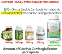 BioGanix Garcinia Cambogia Comparison Infograph
