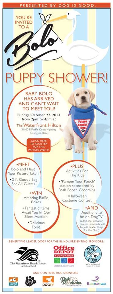 The BOLO Project'