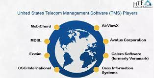 Telecom Management Software (TMS) Market'