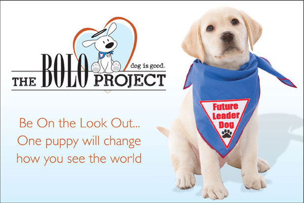 The BOLO Project'