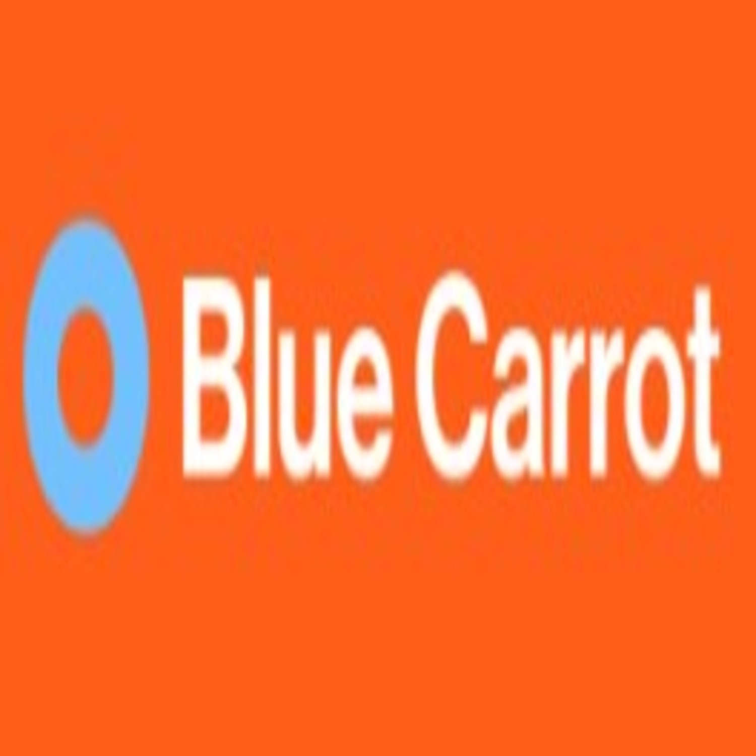 Blue Carrot | Digital Marketing Agency'