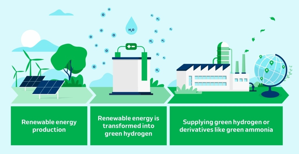 Green Ammonia Market'