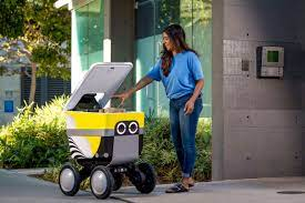 Delivery Robots Market'