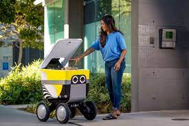 Delivery Robots Market