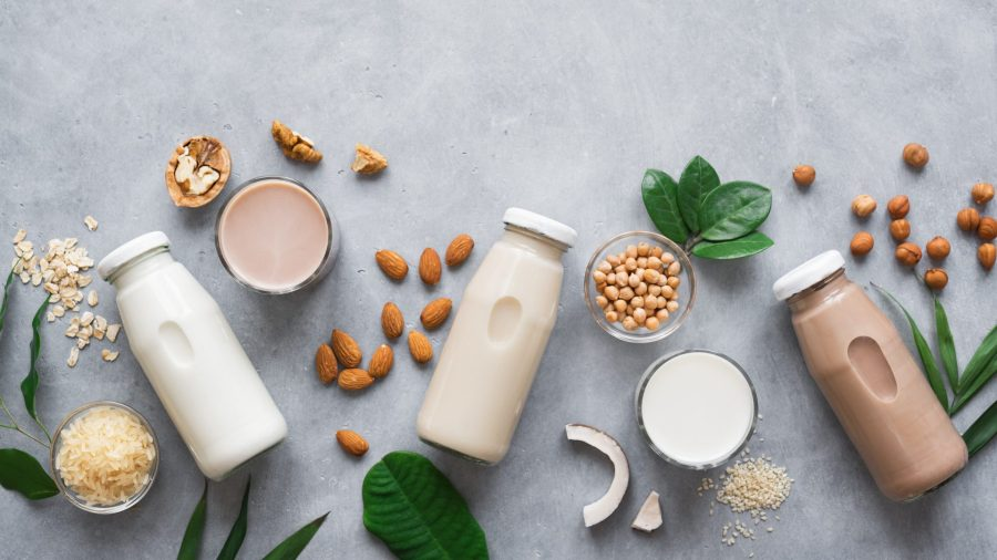 Plant Based Milk Market