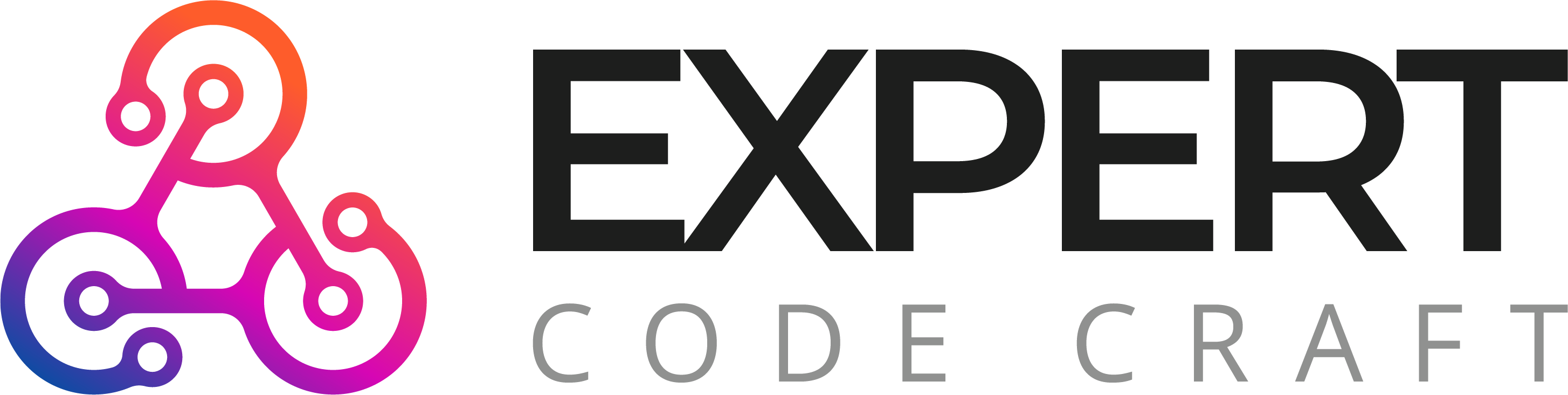 Company Logo For Expert Code Craft'