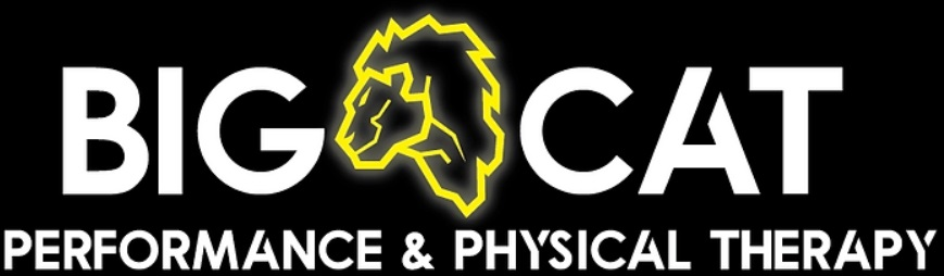 Company Logo For Big Cat Performance &amp;amp; Physical Ther'