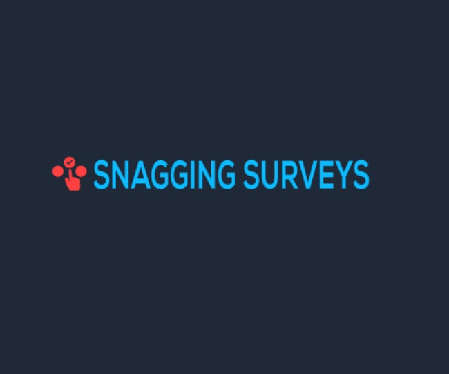 Company Logo For Snagging Surveys'