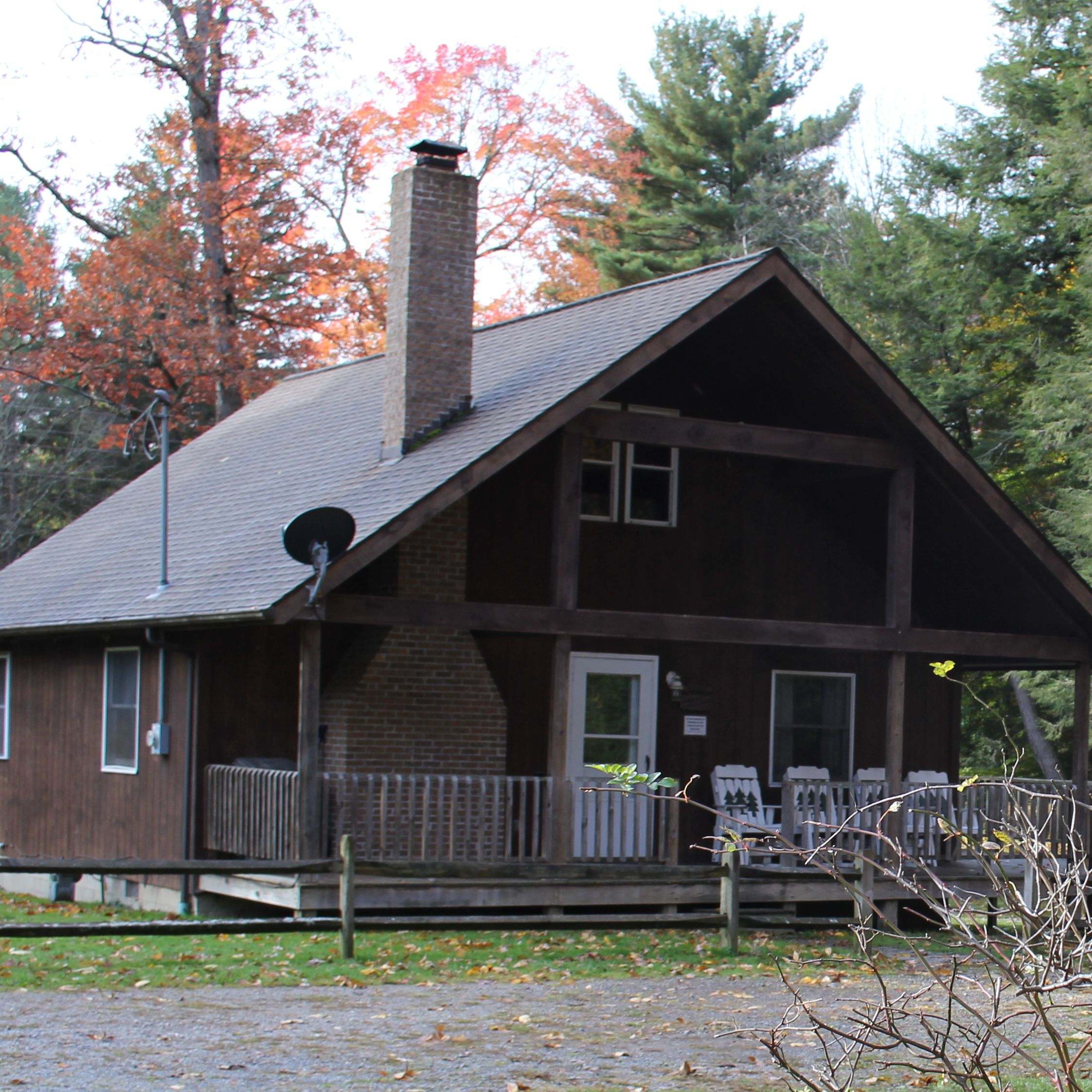 Pet Friendly Cabins'