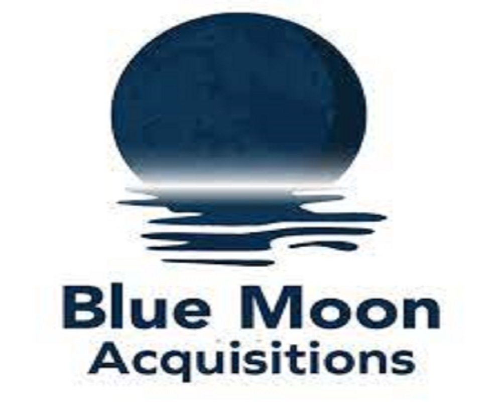 Company Logo For Blue Moon Acquisitions'