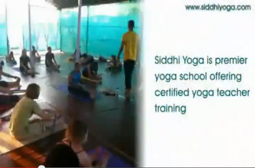 Yoga Teacher Training'