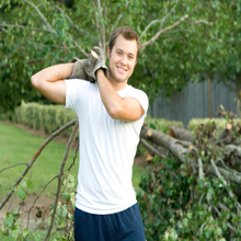 Tree Trimming'