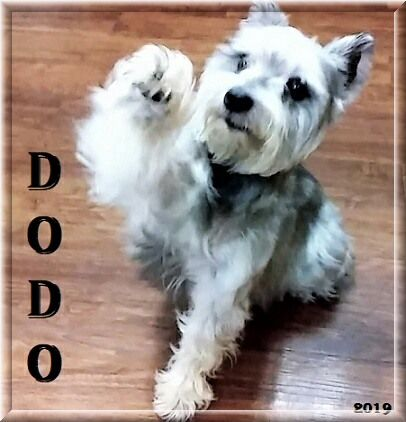 Great River Pet Center Logo