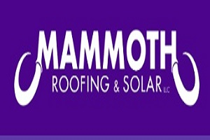 Company Logo For Mammoth Roofing And Solar of Austin'