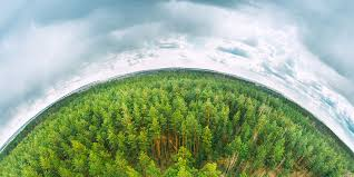 Environmental Risk Management Market