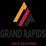 Company Logo For Mold Remediation Grand Rapids Solutions'