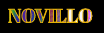 Company Logo For Novillo'