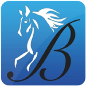 Company Logo For Tom Bay - Bridlewood Insurance'