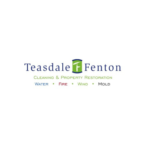 Company Logo For Teasdale Fenton Cleaning &amp; Property'