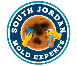 Company Logo For Mold Remediation South Jordan Experts'