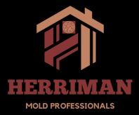 Mold Remediation Herriman Solutions Logo