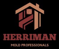 Company Logo For Mold Remediation Herriman Solutions'