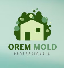 Company Logo For Mold Removal Orem Solutions'