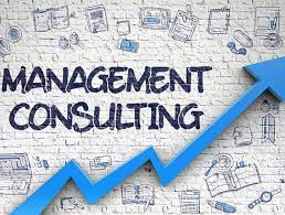 Management Consulting Market'