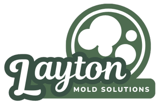 Company Logo For Mold Remediation Layton Experts'