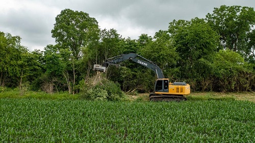 Company Logo For Charlottesville Tree Works'