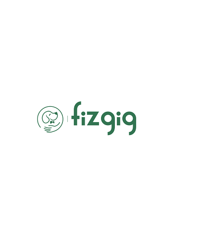 Company Logo For Fizgig App'