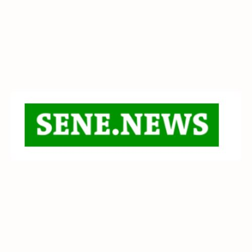 Company Logo For Senenews SUARL'