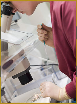 Psycho Social Aspects of Infertility