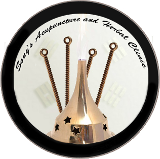 Company Logo For Nissi Song's Kung Fu Academy and Acupunctur'