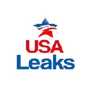 Company Logo For USA Leaks'