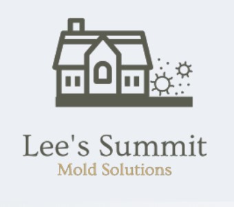 Company Logo For Mold Removal Lees Summit Solutions'