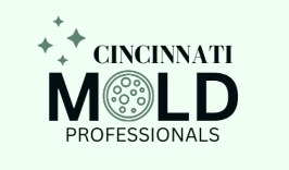 Mold Removal in Cincinnati Solutions