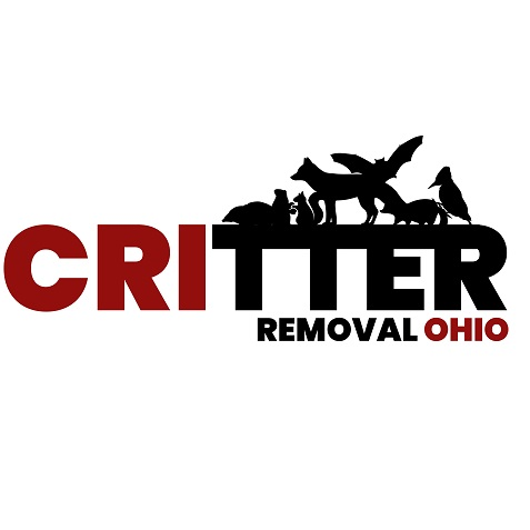 Company Logo For Critter Removal Ohio'