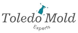 Company Logo For Mold Removal Toledo OH Solutions'