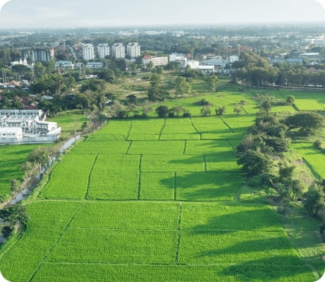 I Want To Sell My Land'