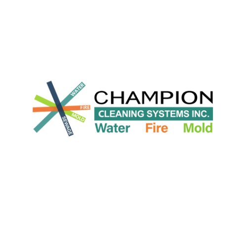 Company Logo For Champion Cleaning Systems'