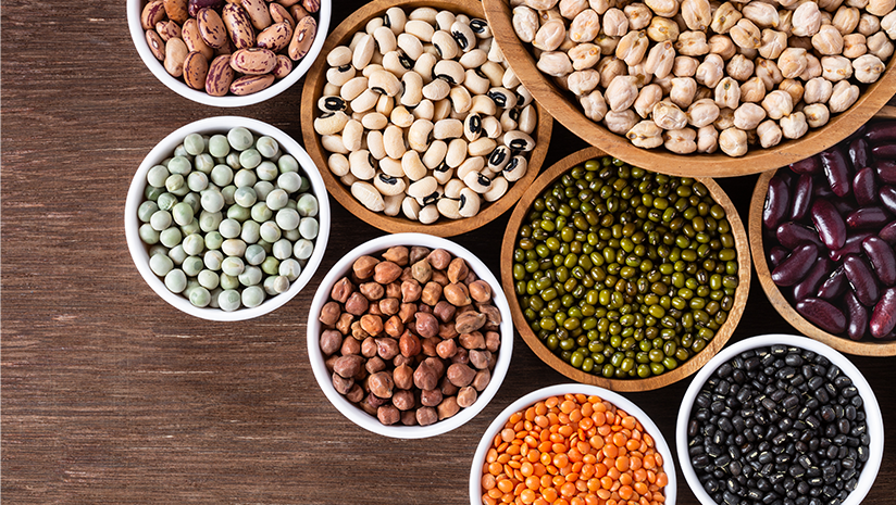 Organic Pulse Protein Market