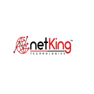 Company Logo For NetKing Web Services Pvt. Ltd.'