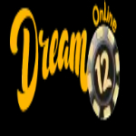 Dream12 Online Logo