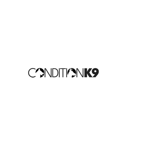 Company Logo For Condition K-9 Dog Training'