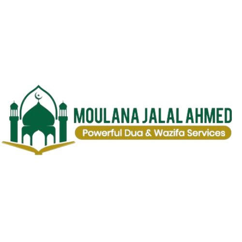 Company Logo For No1MuslimAstrologer'