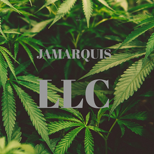 Company Logo For Jamarquis LLC'