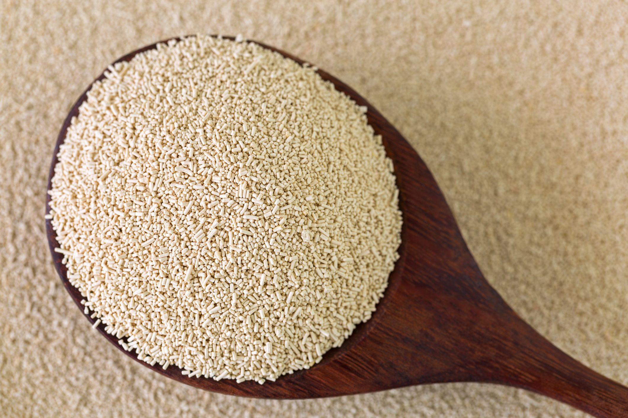 Active Dried Yeast Market