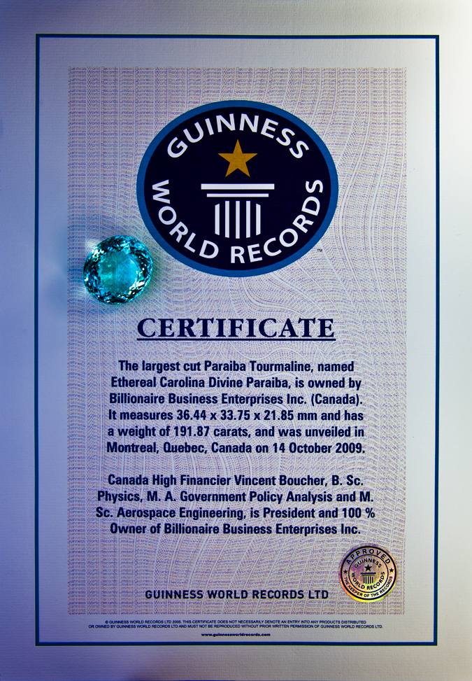 Guinness World Record Holding Paraiba Tourmaline Necklace'