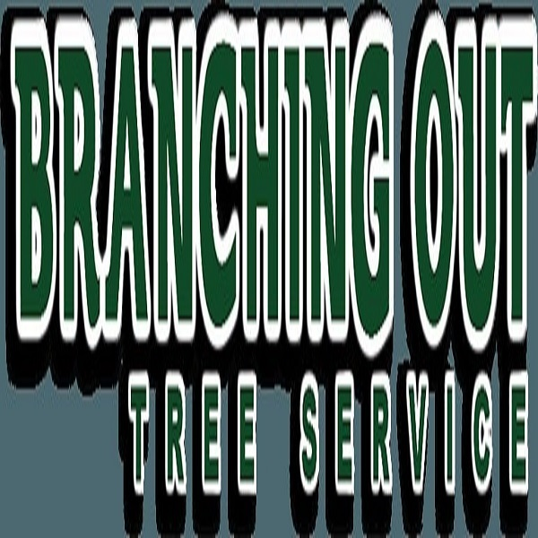 Company Logo For Tree Service Suffolk County'